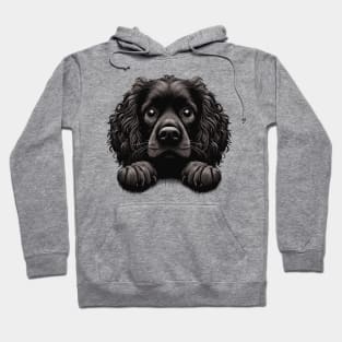 boykin spaniel being cute Hoodie